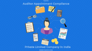 Auditor Appointment Compliance Private Limited Company
