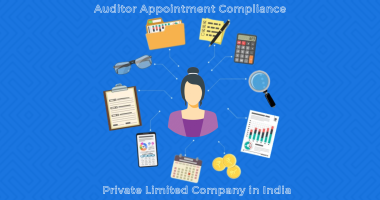 Auditor Appointment Compliance Private Limited Company