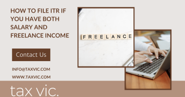 Salary and Freelance Income