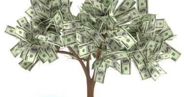 3d illustration of a Money Tree